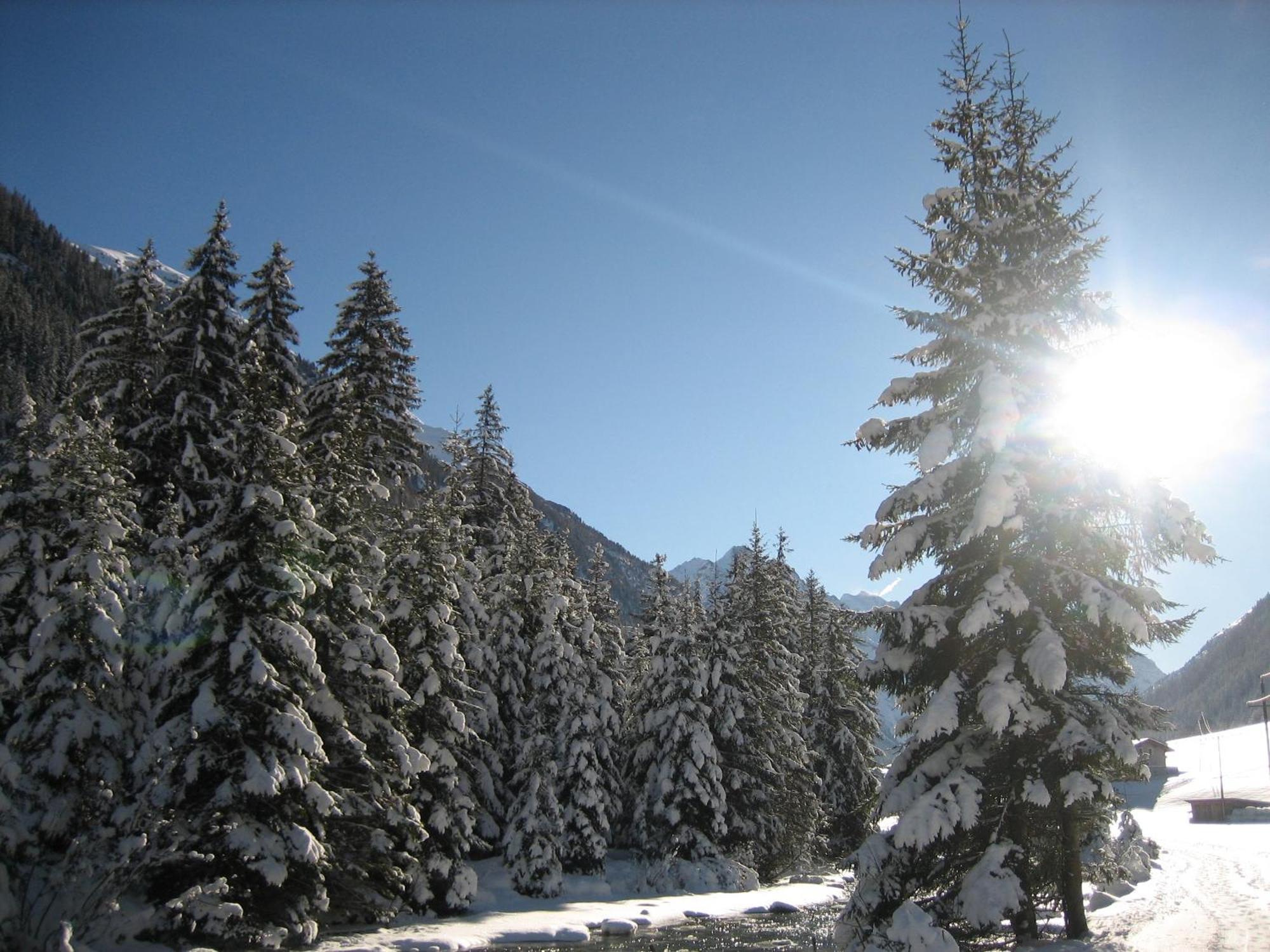 Apart Arve Sankt Leonhard im Pitztal Esterno foto