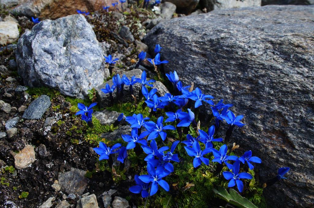 Apart Arve Sankt Leonhard im Pitztal Esterno foto