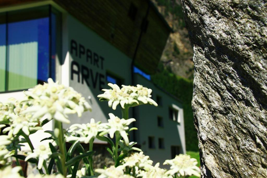 Apart Arve Sankt Leonhard im Pitztal Esterno foto
